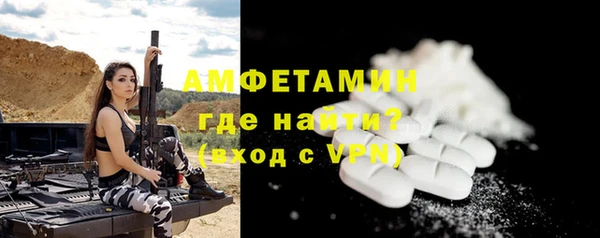 ГАЛЛЮЦИНОГЕННЫЕ ГРИБЫ Гусев