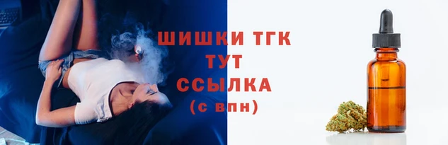 ГАЛЛЮЦИНОГЕННЫЕ ГРИБЫ Гусев