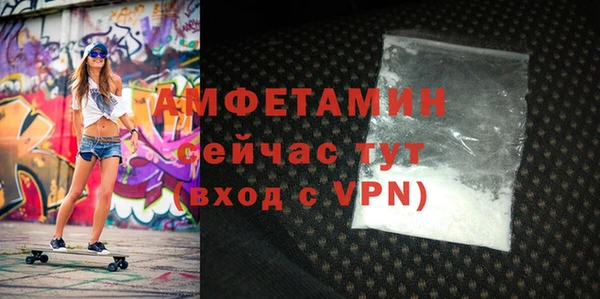 ГАЛЛЮЦИНОГЕННЫЕ ГРИБЫ Гусев