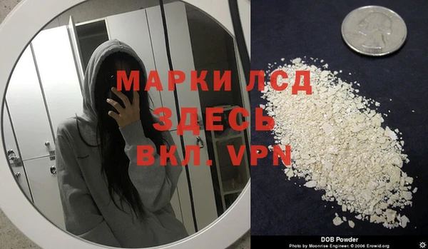 ГАЛЛЮЦИНОГЕННЫЕ ГРИБЫ Гусев