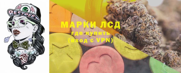 ГАЛЛЮЦИНОГЕННЫЕ ГРИБЫ Гусев
