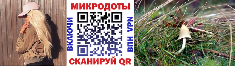 Галлюциногенные грибы Magic Shrooms Заозёрный